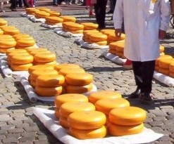 Cheese Market